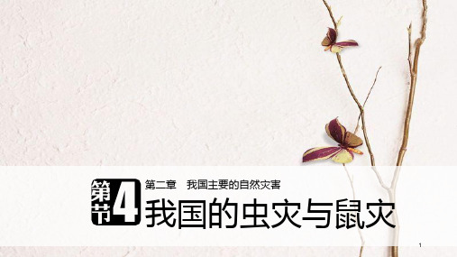 高中地理 第二章 我国主要的自然灾害 第四节 我国的虫灾与鼠灾课件 湘教版选修5.pptx