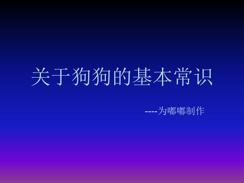 《关于狗狗的护理》PPT课件