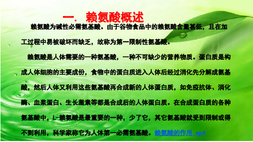 赖氨酸