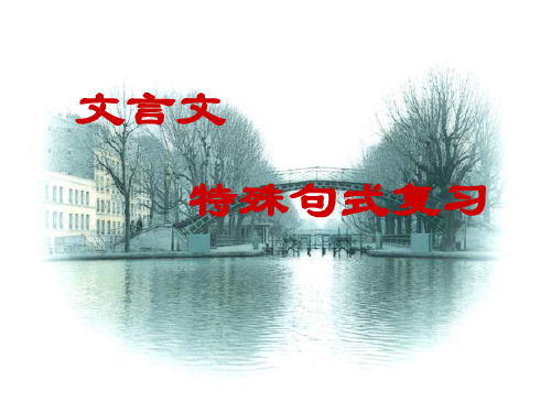 初中语文中考《文言文特殊句式专题复习》PPT