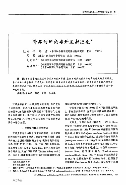 肾茶的研究与开发新进展