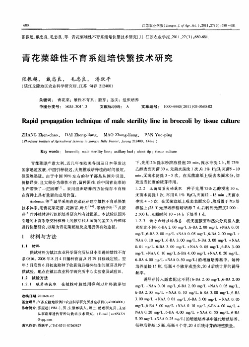 青花菜雄性不育系组培快繁技术研究