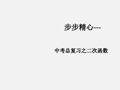 山东省中考数学 二次函数备考复习