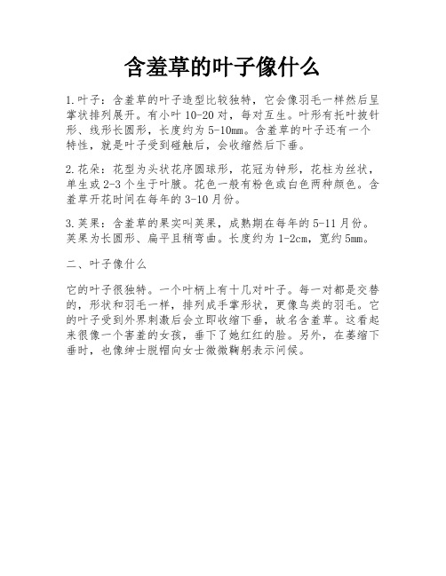 含羞草的叶子像什么
