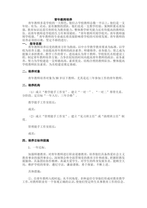 青年教师培养