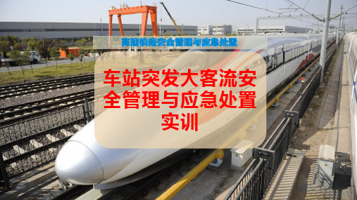 车站突发大客流安全管理与应急处置实训