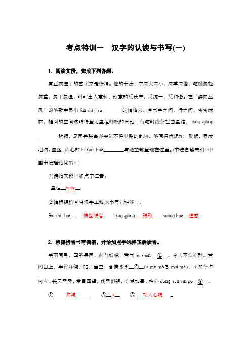 考点特训一 汉字的认读与书写(一)