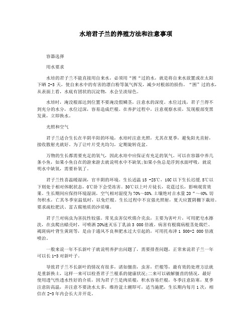 水培君子兰的养殖方法和注意事项