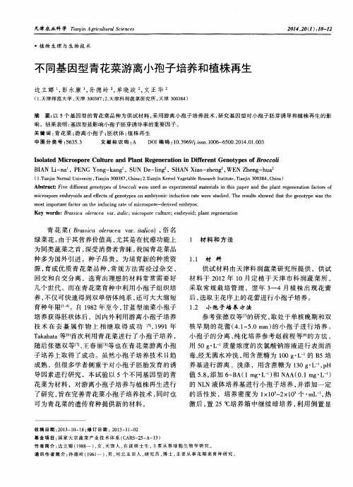 不同基因型青花菜游离小孢子培养和植株再生