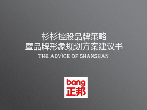 杉杉控股品牌策略及形象规划方案建议书