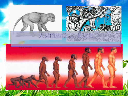 八年级生物下册 第21章 第3节 人类的起源与进化课件4下册生物课件