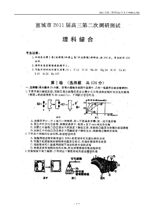 宣城市2011届高三第二次调研测试(理综)原版