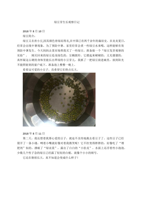 小学四年级作文——绿豆芽生长观察日记