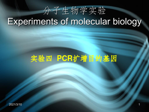 实验四  PCR扩增目的基因课件PPT