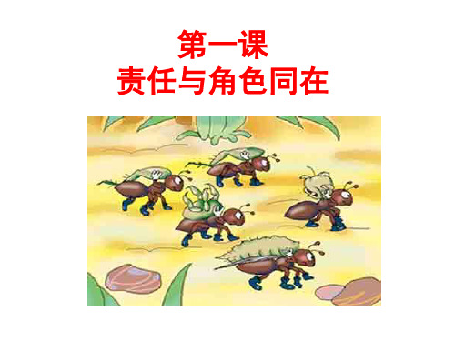 责任与角色同在全课课件.ppt