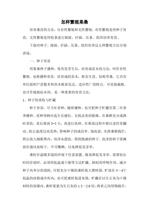 怎样繁殖果桑