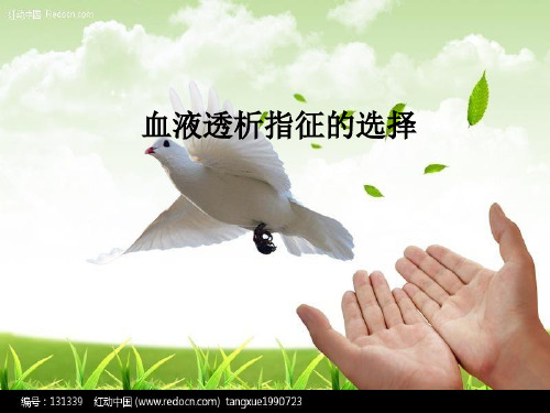 血液透析指征的选择PPT课件