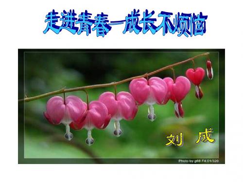 七年级政治成长不烦恼(新编教材)