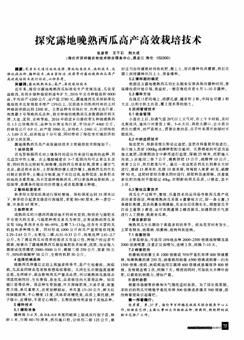 探究露地晚熟西瓜高产高效栽培技术
