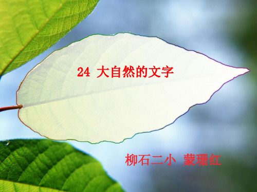 24大自然的文字(第2课时)