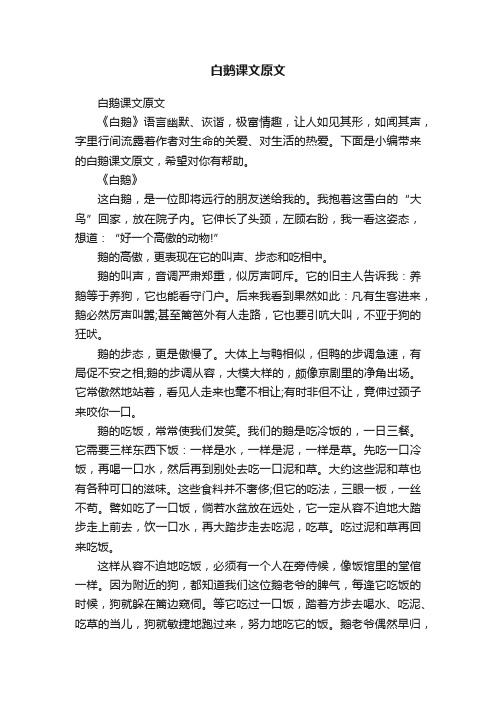 白鹅课文原文