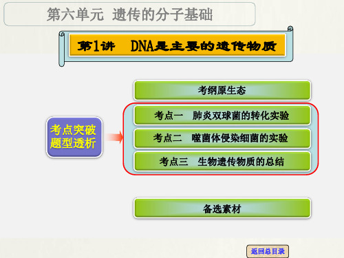 高考生物 一轮复习 第1讲 DNA是主要的遗传物质