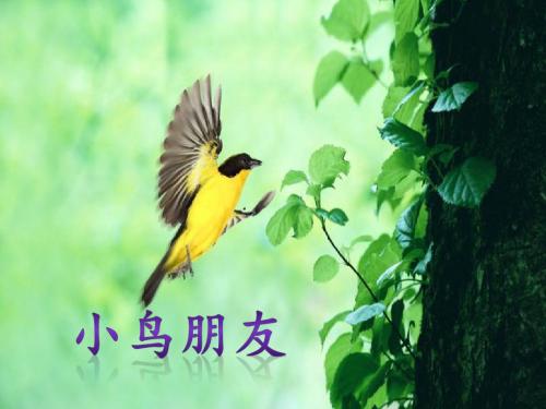 《小鸟朋友》课件1-优质公开课-语文A版一下精品