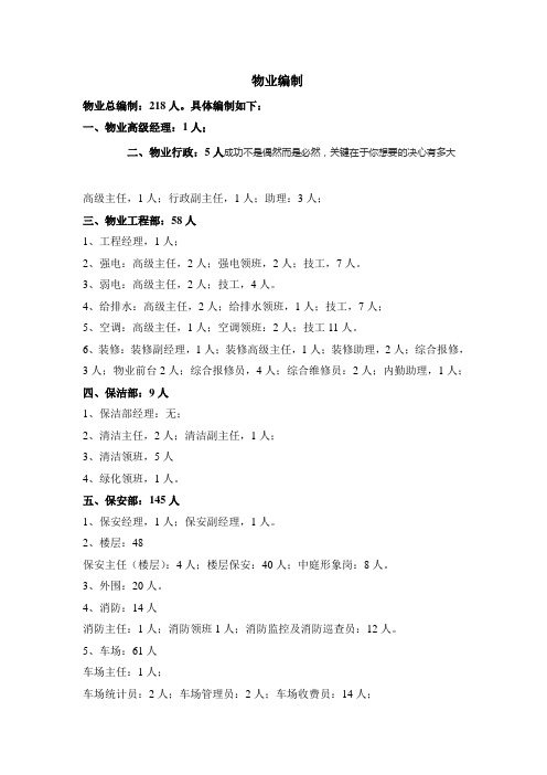 济南恒隆广场-物业编制