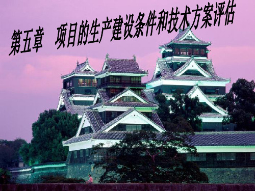 5 项目生产建设条件和技术方案评估