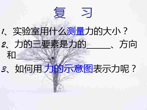 初三物理上学期重力PPT课件