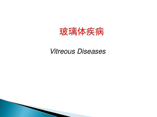 玻璃体病,视网膜病 PPT