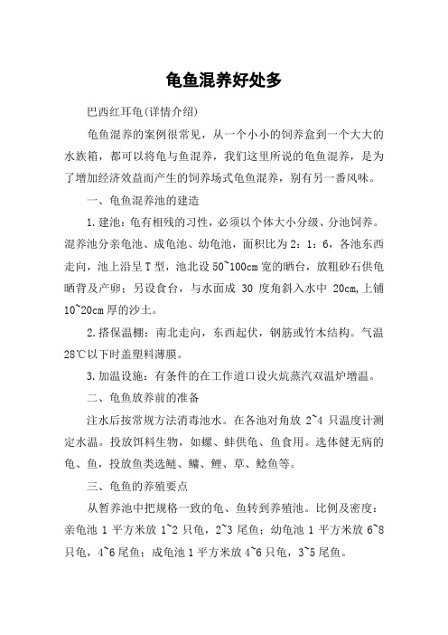 龟鱼混养好处多