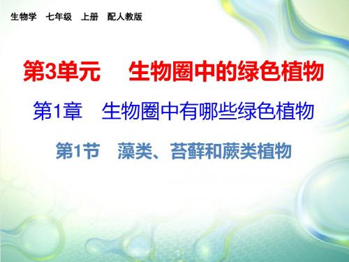 2019-2020学年人教版七年级生物上册教学课件：第三单元 第1章  第1节(共24张PPT)