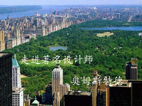 奥姆斯特德