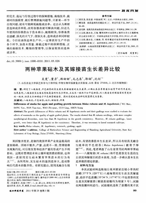 两种苹果砧木及其嫁接苗生长差异比较