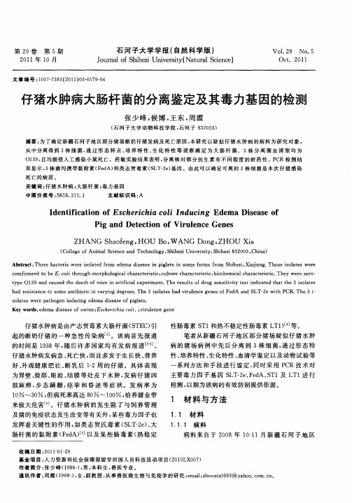 仔猪水肿病大肠杆菌的分离鉴定及其毒力基因的检测
