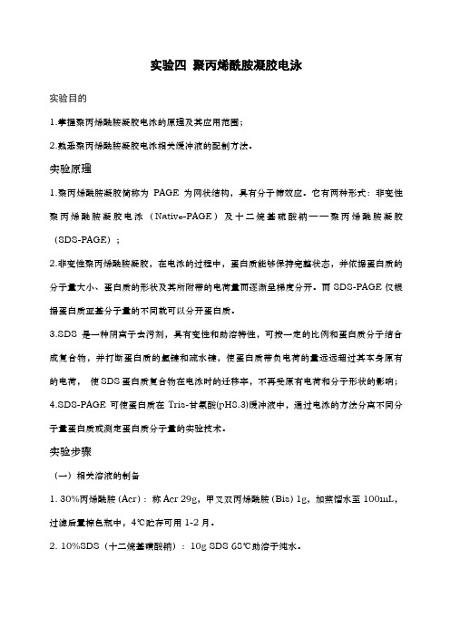 实验四聚丙烯酰胺凝胶电泳