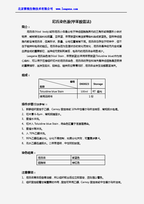 尼氏染色液(甲苯胺蓝法)