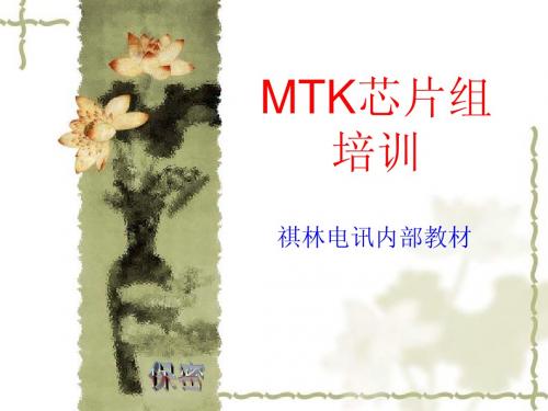 祺林电讯MTK芯片组培训(基带)