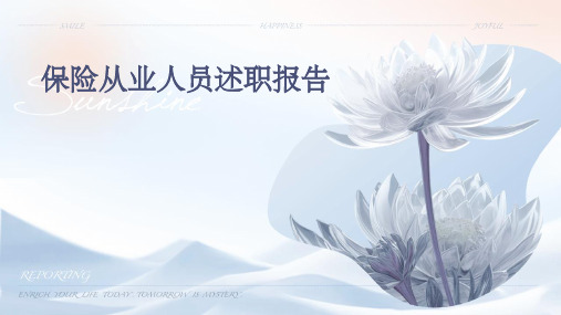 保险从业人员述职报告PPT