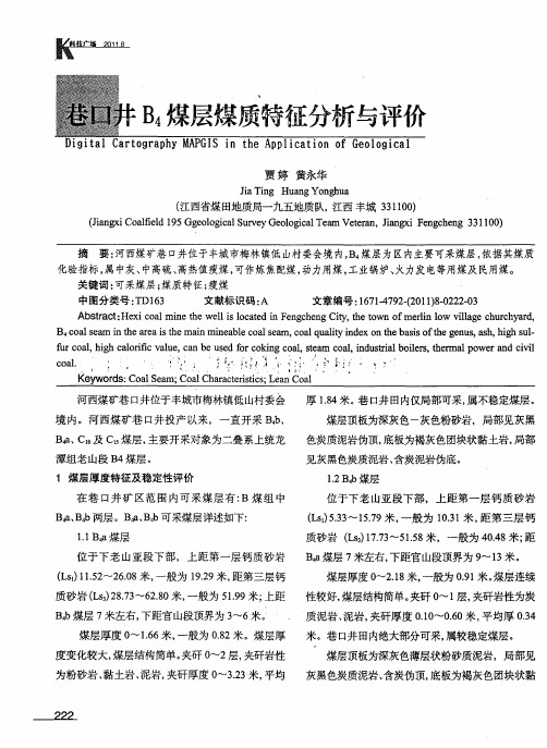 巷口井B4煤层煤质特征分析与评价