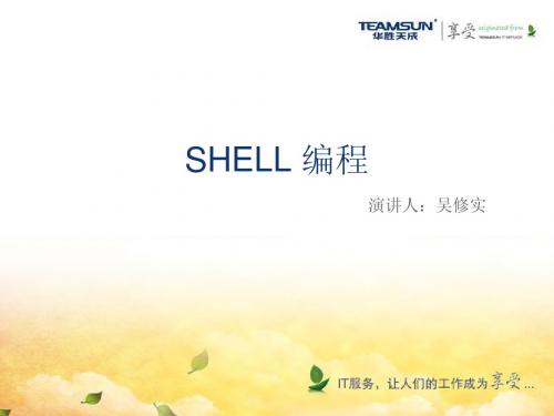 SHELL培训资料