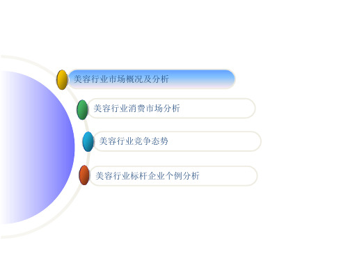 美容行业分析PPT38页
