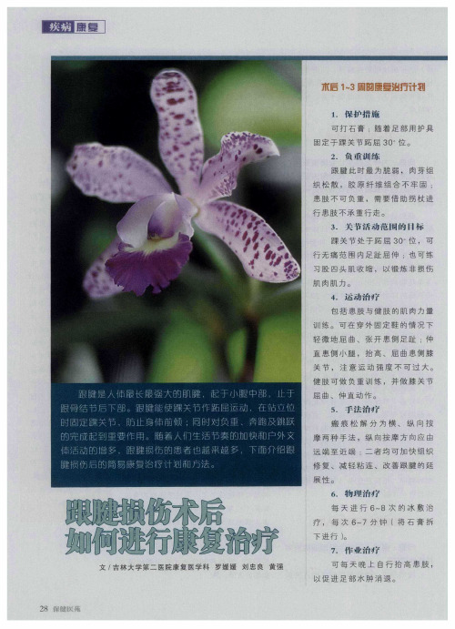 跟腱损伤术后如何进行康复治疗