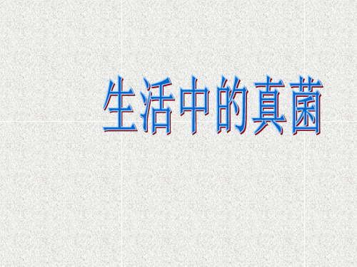 科学六上第6课《生活中的真菌》课件(1)