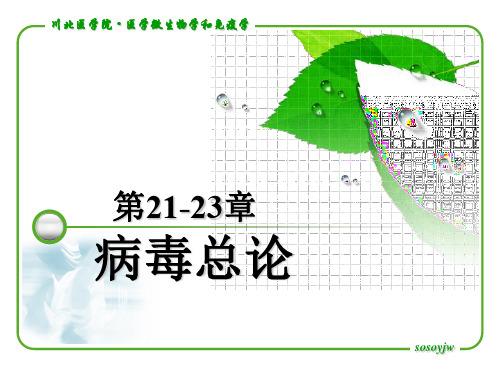 21-23章.病毒总论