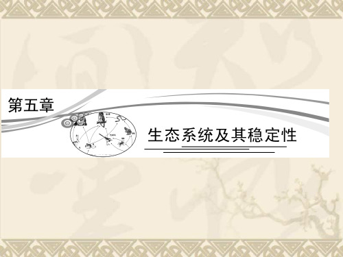 届高三生物一轮复习课件5.1生态系统的结构(人教版必修3)