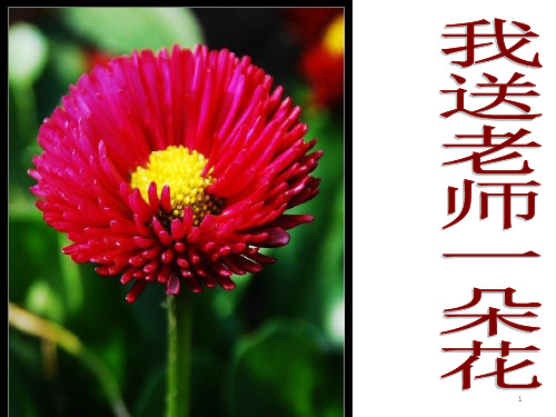 小学品德与社会三年级下册《我送老师一朵花》教学