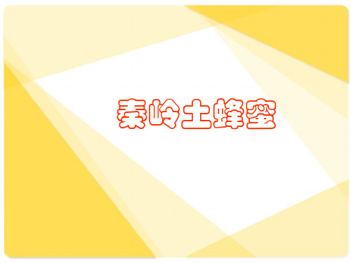 土蜂蜜