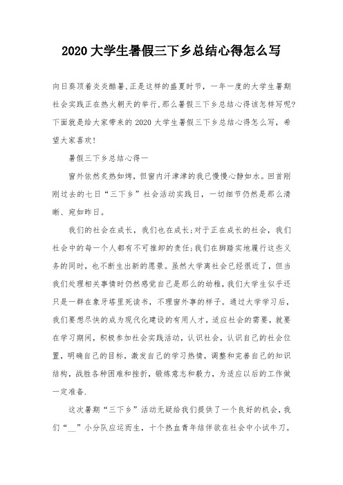2020大学生暑假三下乡总结心得怎么写